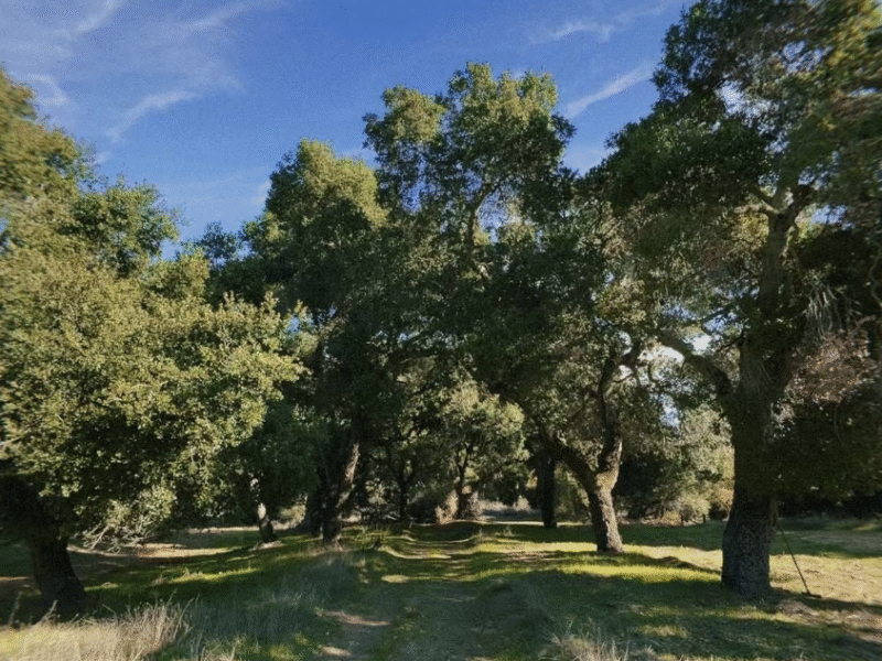 Stonepine Estate – Carmel Valley, CA